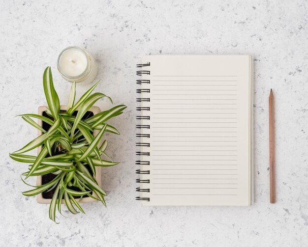 Vista superior libreta con plantas y velas