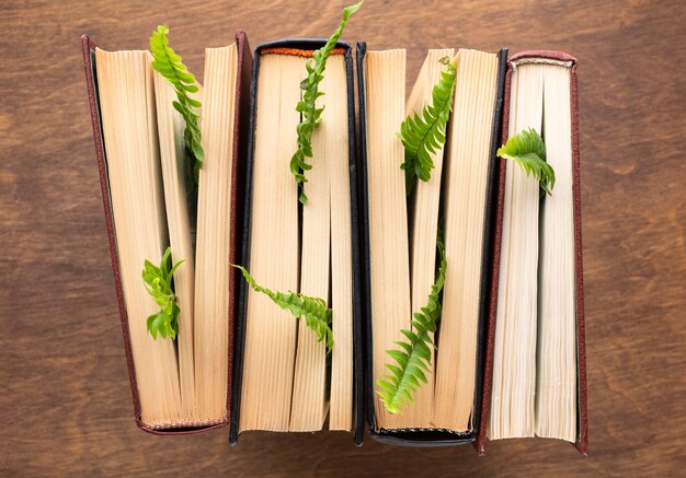 Vista superior de libros y arreglo de plantas.