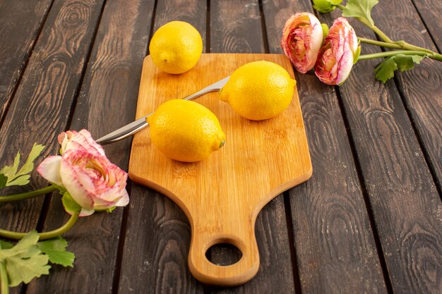 Una vista superior limones frescos agrios maduros cítricos suaves jugosos junto con flores secas vitamina tropical amarilla en el escritorio rústico marrón