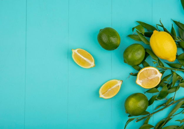 Foto gratuita vista superior de limones verdes y amarillos con hojas sobre superficie azul