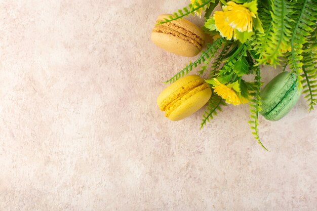 Una vista superior de macarons franceses con planta sobre la mesa rosa pastel de azúcar galleta dulce