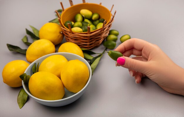 Vista superior de la mano femenina sosteniendo kinkan fresco con un tazón de limones con un balde de kinkans en una pared blanca