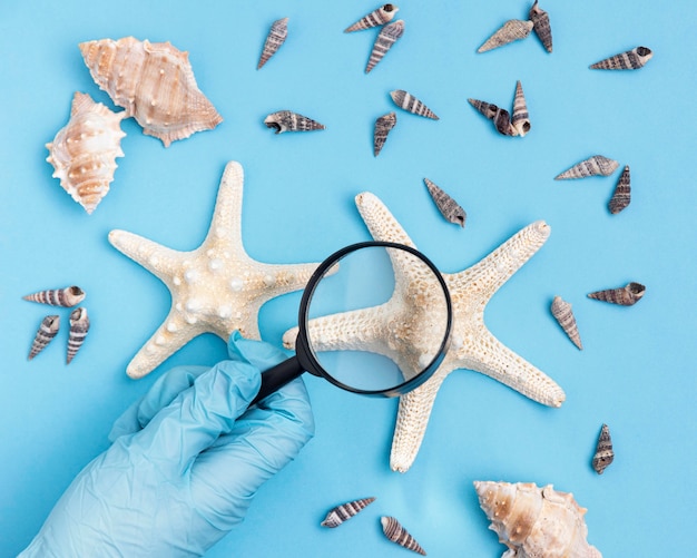 Foto gratuita vista superior de la mano con guantes quirúrgicos con lupa sobre estrella de mar