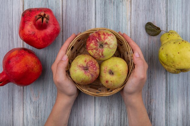 Vista superior de manos femeninas sosteniendo un balde con manzanas rojas frescas con granadas aislado sobre un fondo de madera gris