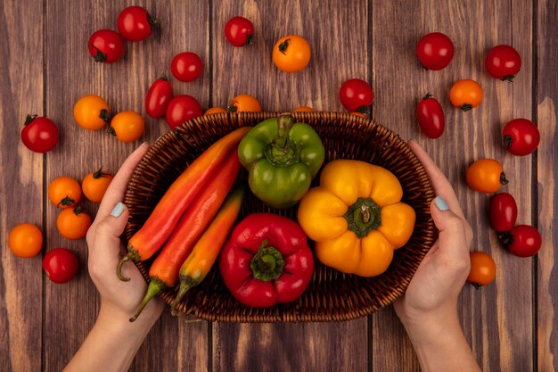 Vista superior de manos femeninas sosteniendo un balde de pimientos frescos con tomates cherry aislados en una pared de madera