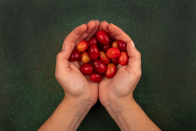 Vista superior de manos femeninas sosteniendo cerezas de cornalina ácida rojo pálido sobre una superficie verde