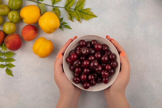 Vista superior de manos femeninas sosteniendo un cuenco con cerezas rojas con melocotones y ciruelas cereza verde aislado sobre un fondo blanco.