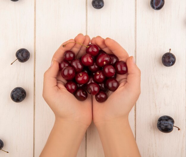 Foto gratuita vista superior de manos femeninas sosteniendo deliciosas cerezas rojas con endrinas de color púrpura oscuro aisladas sobre un fondo blanco de madera