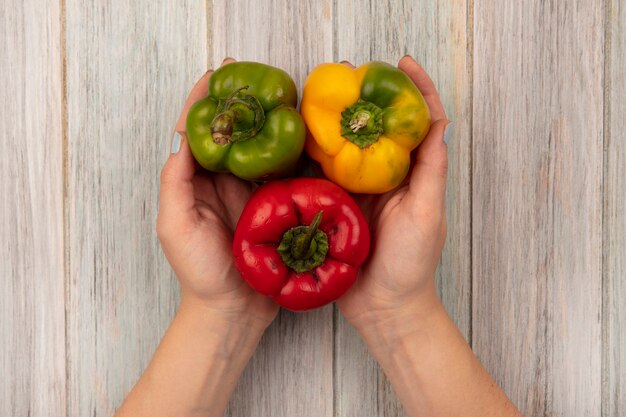 Foto gratuita vista superior de manos femeninas sosteniendo pimientos coloridos sobre una superficie de madera gris