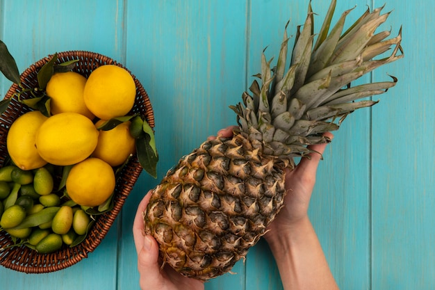 Vista superior de manos femeninas sosteniendo piña fresca con frutas como kinkans y limones en un balde en una pared de madera azul