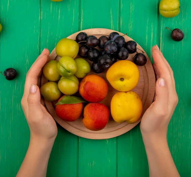 Vista superior de manos femeninas sosteniendo una tabla de cocina de madera con frutas coloridas como melocotones, ciruelas loescherry sobre un fondo verde