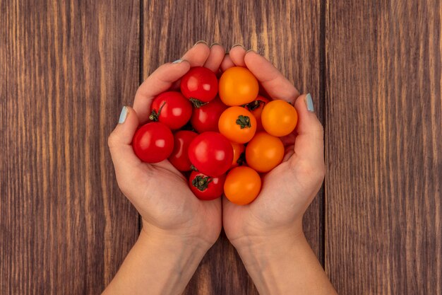 Vista superior de manos femeninas sosteniendo tomates frescos de color rojo cereza y naranja sobre una superficie de madera