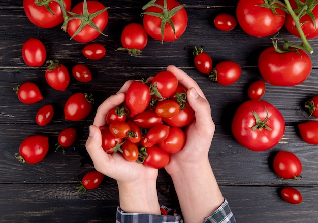 Vista superior de manos de mujer sosteniendo tomates con otros en mesa de madera