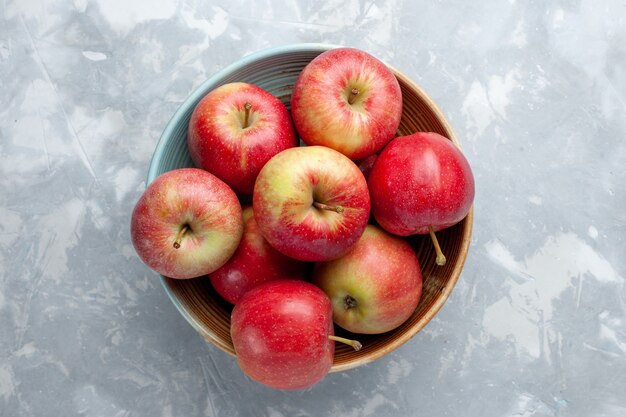 Vista superior de las manzanas rojas frescas dentro de la placa sobre fondo blanco fruta fresca vitamina madura suave