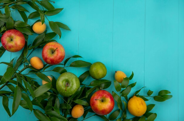 Vista superior de manzanas verdes y rojas con hojas de limón y albaricoques sobre una superficie azul claro