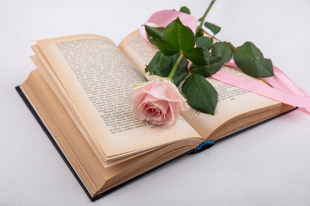 Vista superior de la maravillosa rosa rosa con hojas sobre un libro sobre un fondo blanco