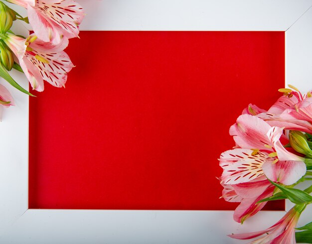 Vista superior de un marco blanco vacío con flores de color rosa alstroemeria y una postal sobre fondo rojo con espacio de copia