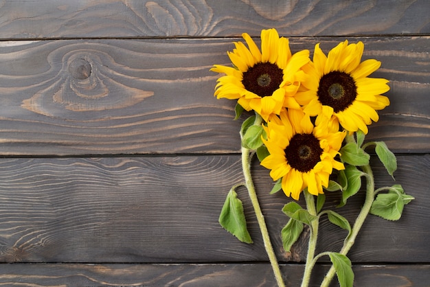 Foto gratuita vista superior del marco de girasoles con espacio de copia