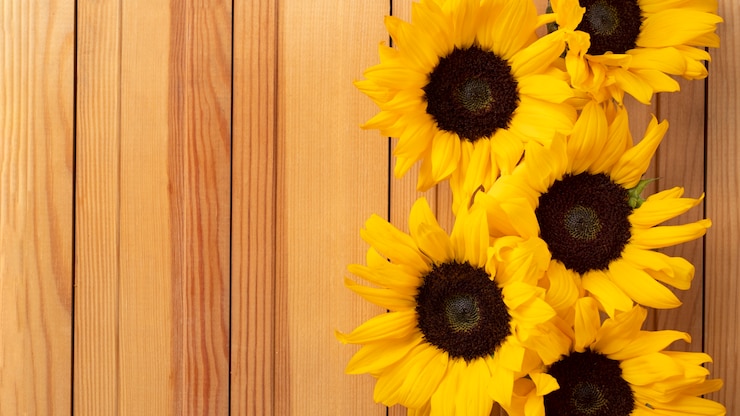 Foto gratuito vista superior del marco de girasoles con espacio de copia