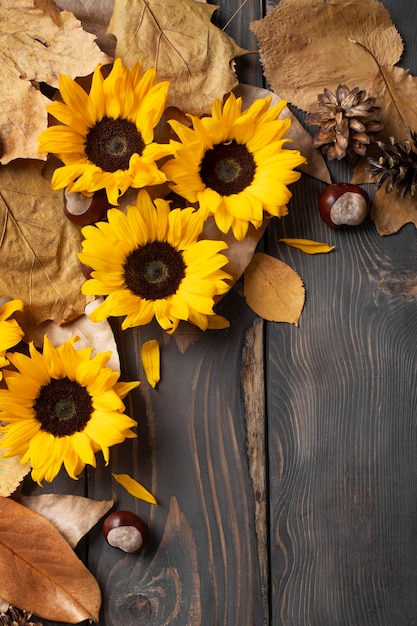 Foto gratuita vista superior del marco de girasoles con espacio de copia