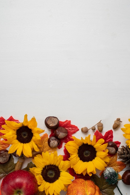 Foto gratuita vista superior del marco de girasoles con manzanas