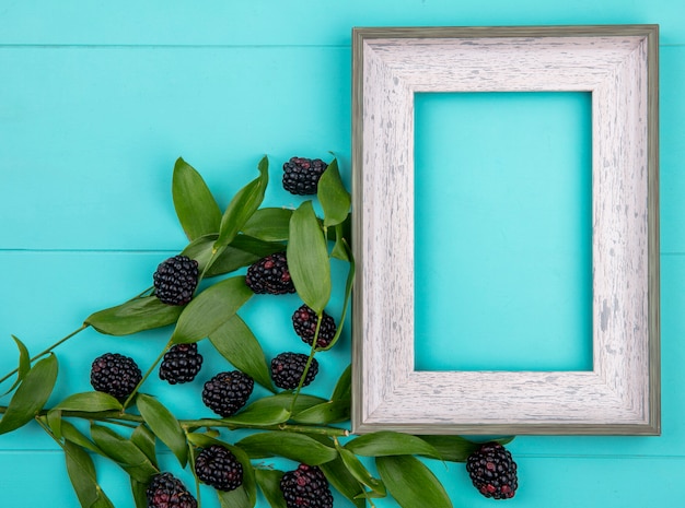 Foto gratuita vista superior del marco gris con moras y rama con hojas sobre una superficie turquesa