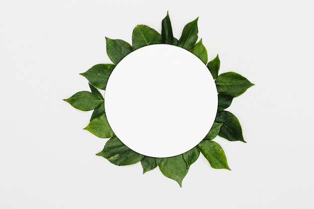 Vista superior marco hojas verdes
