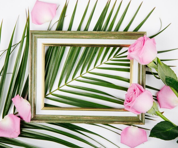 Vista superior de un marco vacío con rosas de color rosa en una hoja de palma sobre fondo blanco.