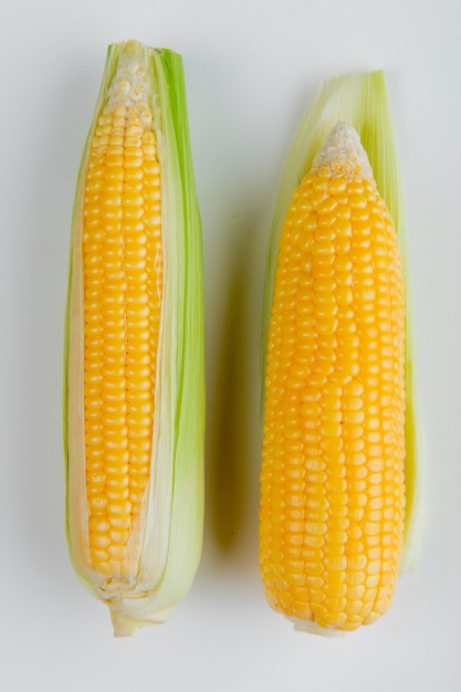 Vista superior de mazorcas de maíz con cáscara en blanco