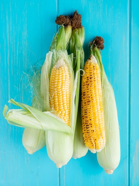 Vista superior de mazorcas de maíz en la superficie azul 2