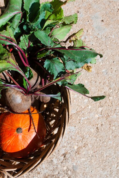 Vista superior media cesta con calabaza y rábanos