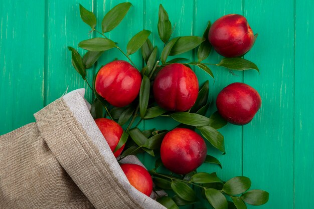 Vista superior de melocotones con ramas de hojas en una bolsa de arpillera sobre una superficie verde