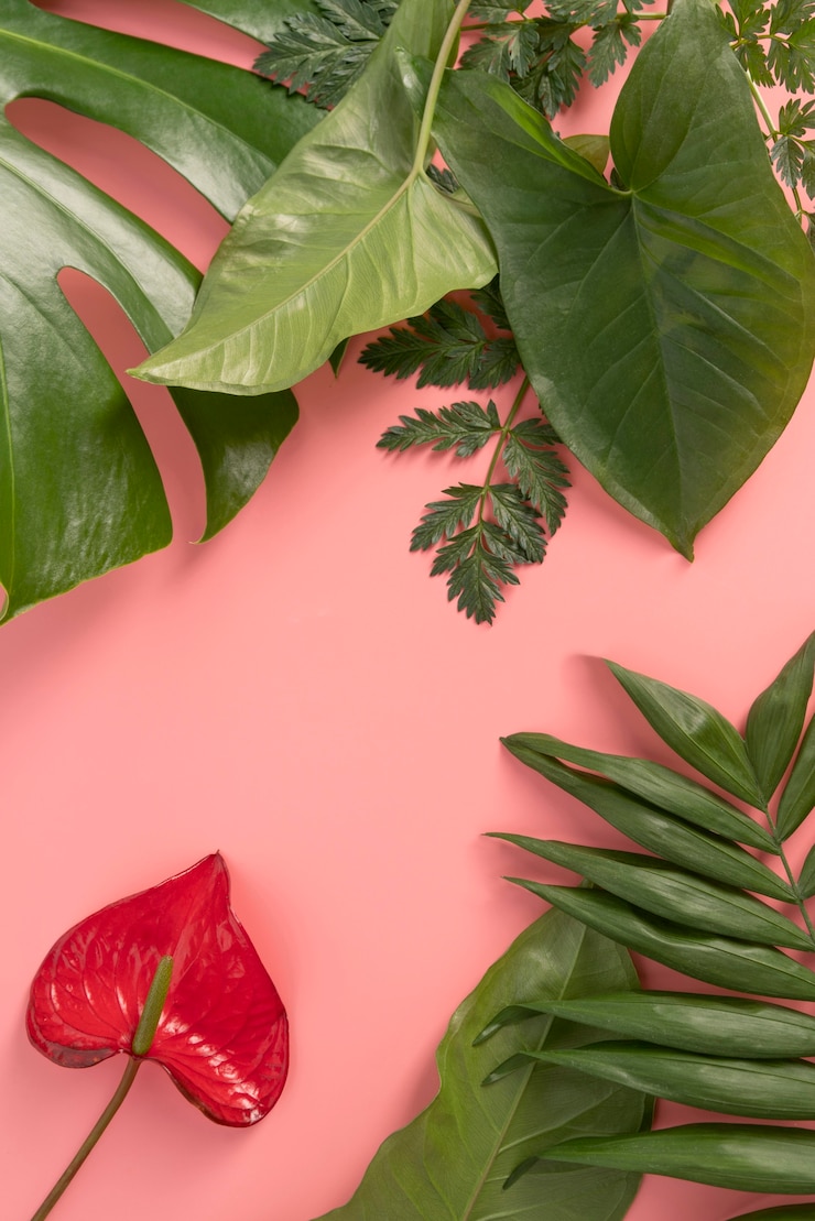 Foto gratuito vista superior mínima composición de hojas tropicales.