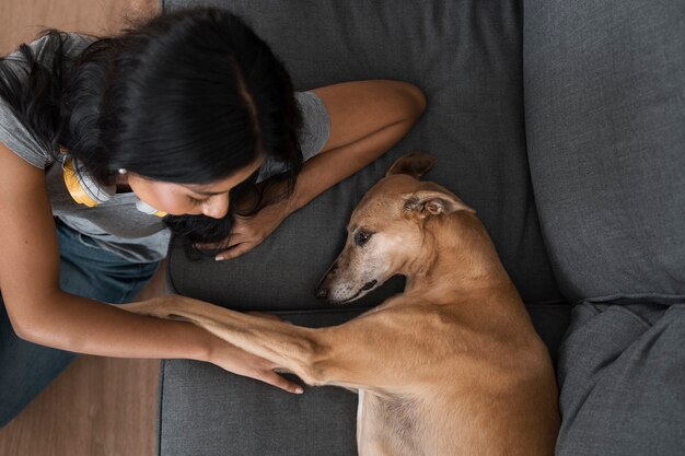 Vista superior mujer acariciando lindo perro