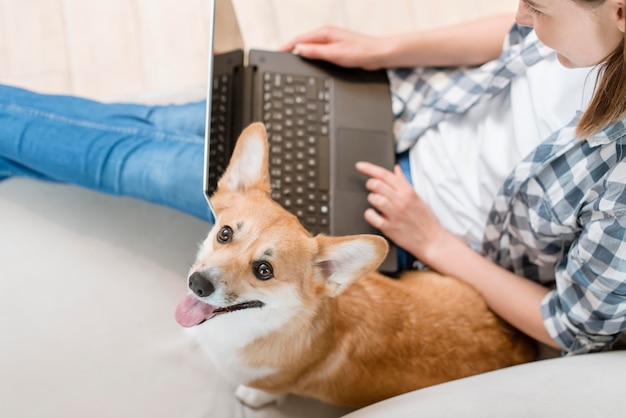 Foto gratuita vista superior de la mujer con la computadora portátil en el sofá y su lindo perro