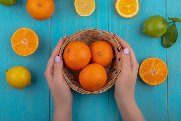 Vista superior mujer corta naranja en una canasta con limas y limones sobre un fondo turquesa