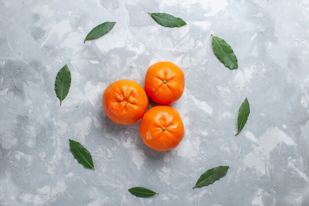 Vista superior naranja mandarinas cítricos enteros en la mesa de luz jugo de frutas exóticas cítricos