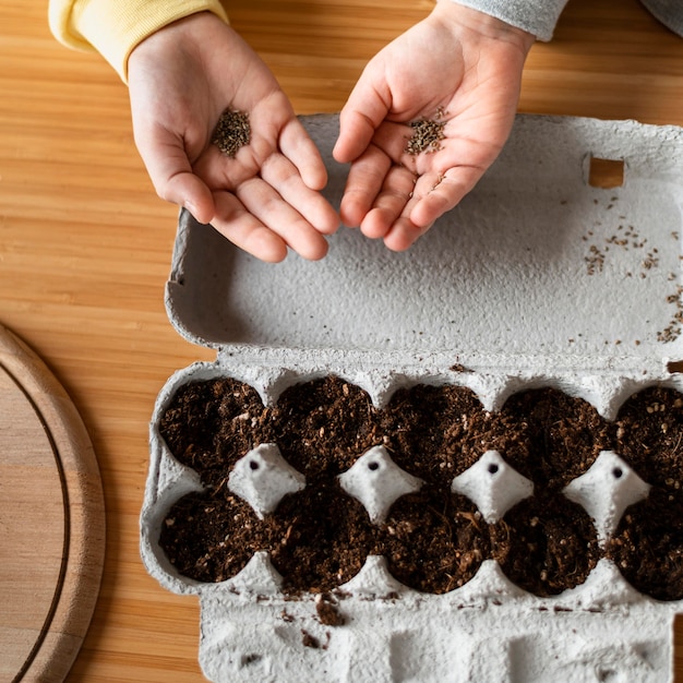 Vista superior de niños pequeños con tierra para plantar semillas