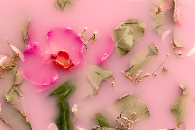 Foto gratuita vista superior de orquídeas y rosas en agua de color rosa