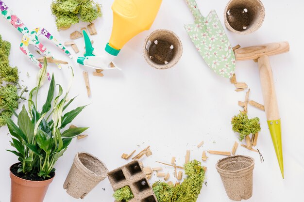 Vista superior de la pala; horquilla de jardinería maceta de turba planta en maceta; Botella de musgo y spray sobre fondo blanco