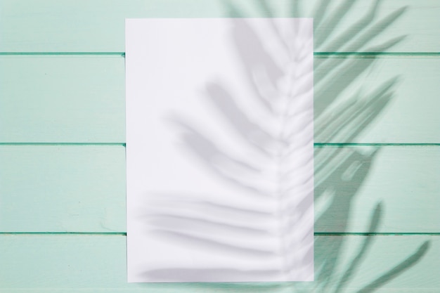 Vista superior de papel blanco vacío y hojas de sombra