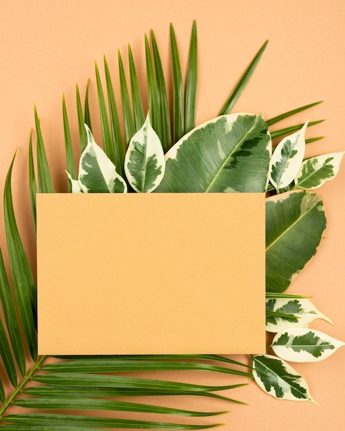 Vista superior de papel con hojas de plantas.