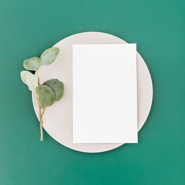 Vista superior del papel de menú en blanco en placa con planta