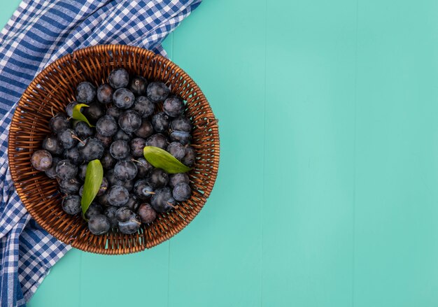 Vista superior de una pequeña fruta ácida con endrinas de piel oscura sobre un fondo azul con espacio de copia