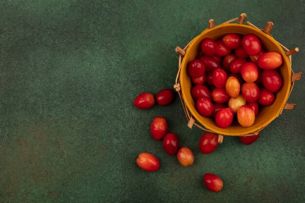 Vista superior de pequeñas cerezas de cornalina agria en un balde sobre una superficie verde con espacio de copia