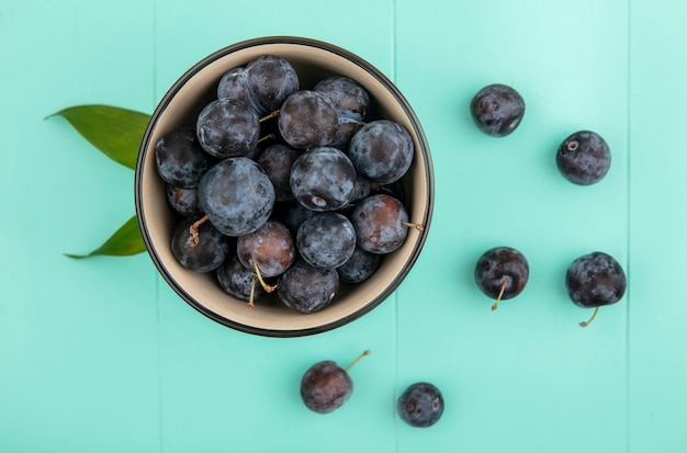 Vista superior de pequeñas endrinas de frutas de color púrpura oscuro amargo en un recipiente con endrinas aislado sobre un fondo azul.