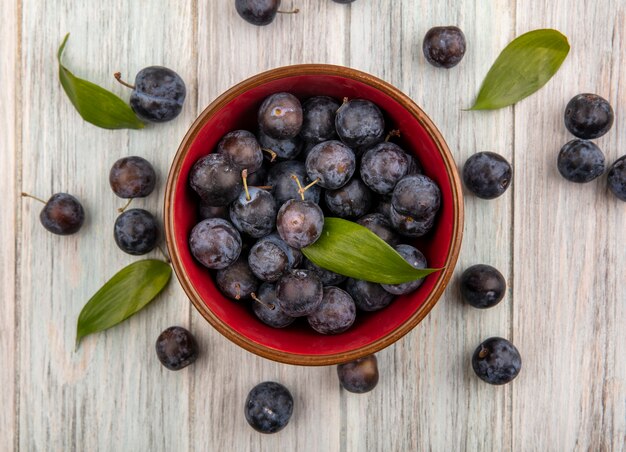 Vista superior de pequeñas endrinas de frutas de color púrpura oscuro amargo en un recipiente con endrinas aislado sobre un fondo de madera gris