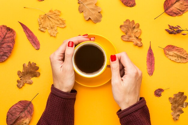 Vista superior de la persona que sostiene la taza de café con hojas de otoño