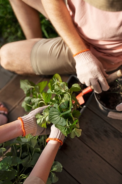 Foto gratuita vista superior de personas cuidando plantas.