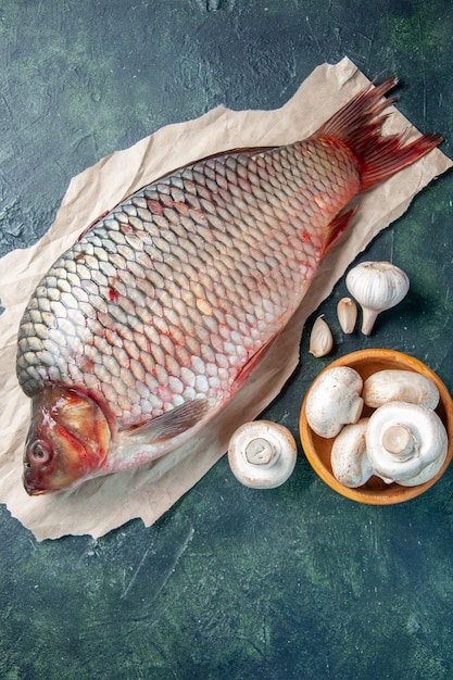 Foto gratuita vista superior de pescado crudo fresco con setas sobre fondo azul oscuro